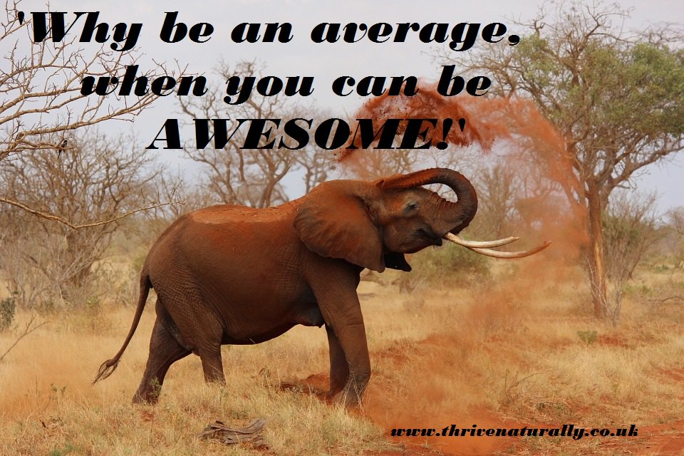 ThriveNaturally's tweet image. #BeAwesome #Healthy &amp;amp; #Happy 
#inspirational #Friday
