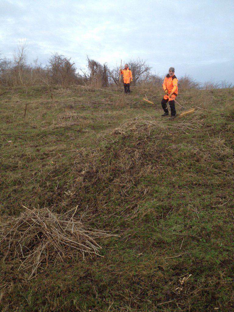 JandeRoon's tweet photo. #vrijwilligers weer goed bezig! #openduin #voornesduin #Natuurmonumenten https://t.co/Yq2UZjXPcm