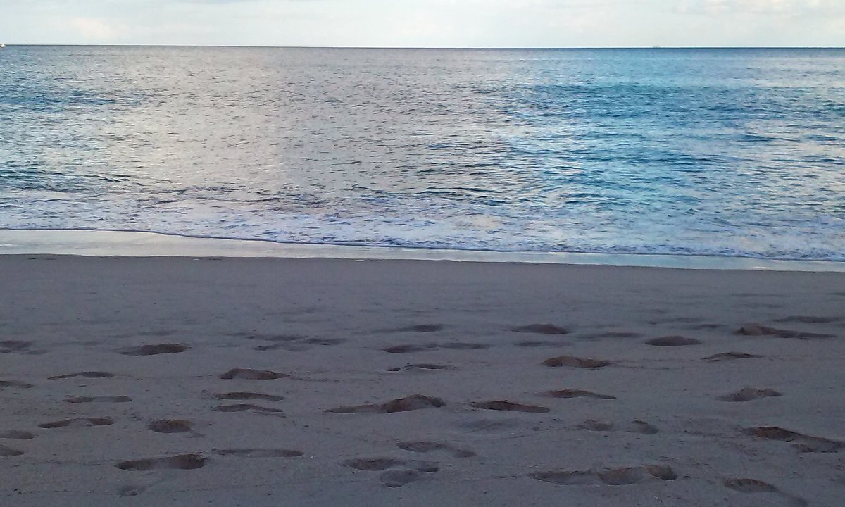 PompanoPost's tweet photo. Here's to today. Make it great! #Pompano Post! https://t.co/Q5kclfNpke