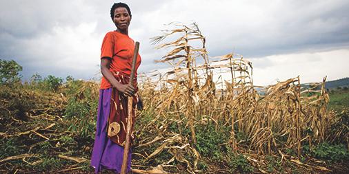 BofAPrivateBank's tweet photo. #ClimateChange: Do #Women play a crucial role in creating a more secure future? https://t.co/lhhnnd51HL #WEFClimate https://t.co/CbXSM2iDTl