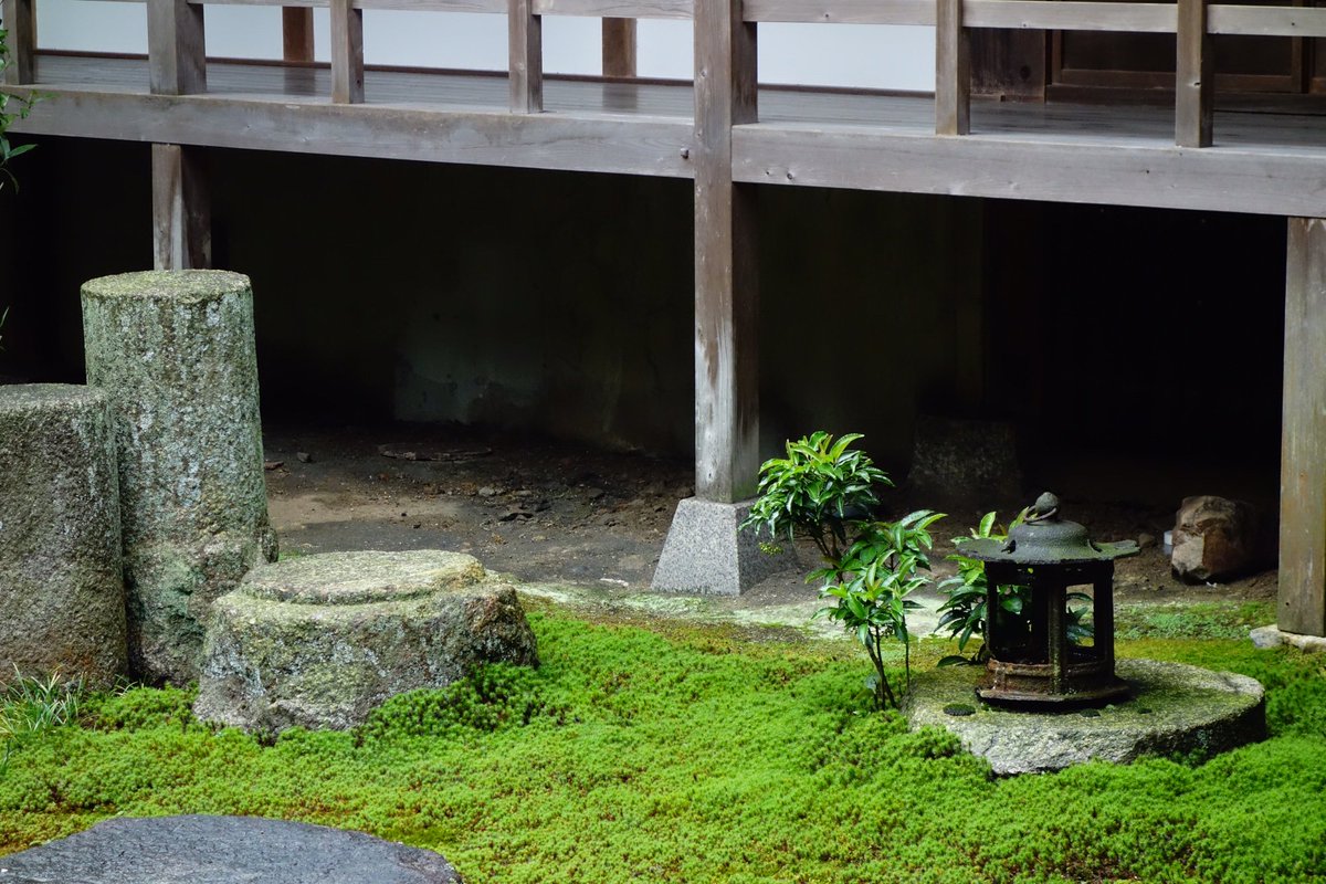 uri__25's tweet photo. 紅葉で有名な東福寺ですが、梅雨の時期もなかなか素敵でした。お庭が非常に良い雰囲気〜〜

#写真 #写真好きな人と繋がりたい #ファインダー越しの私の世界 https://t.co/IryP3f0P2e