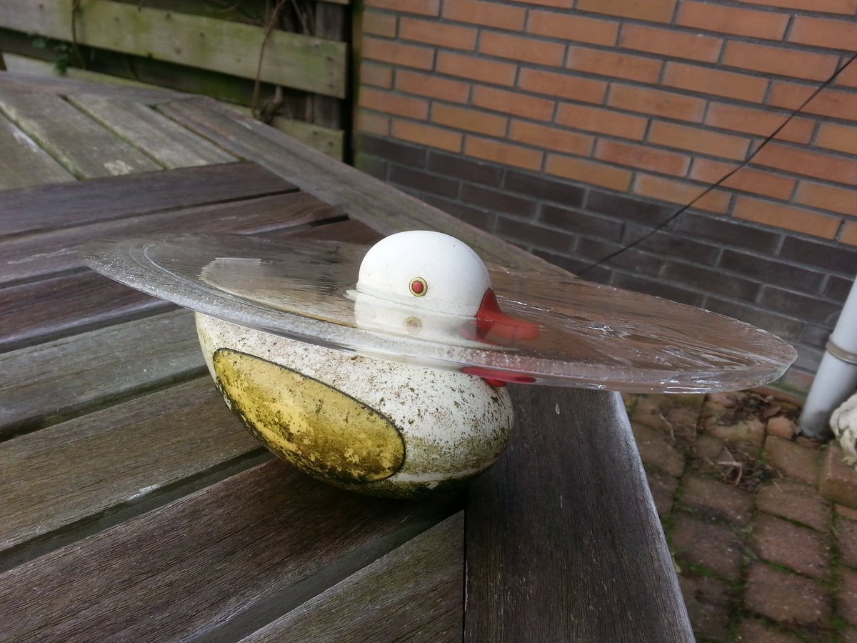 riesbergen's tweet image. #kwakkelwinter in tuin @janvissersweer  #frozenart @WilliamHuizinga @BuienRadarNL @Rili2013 @GerritHiemstra @RTVNH