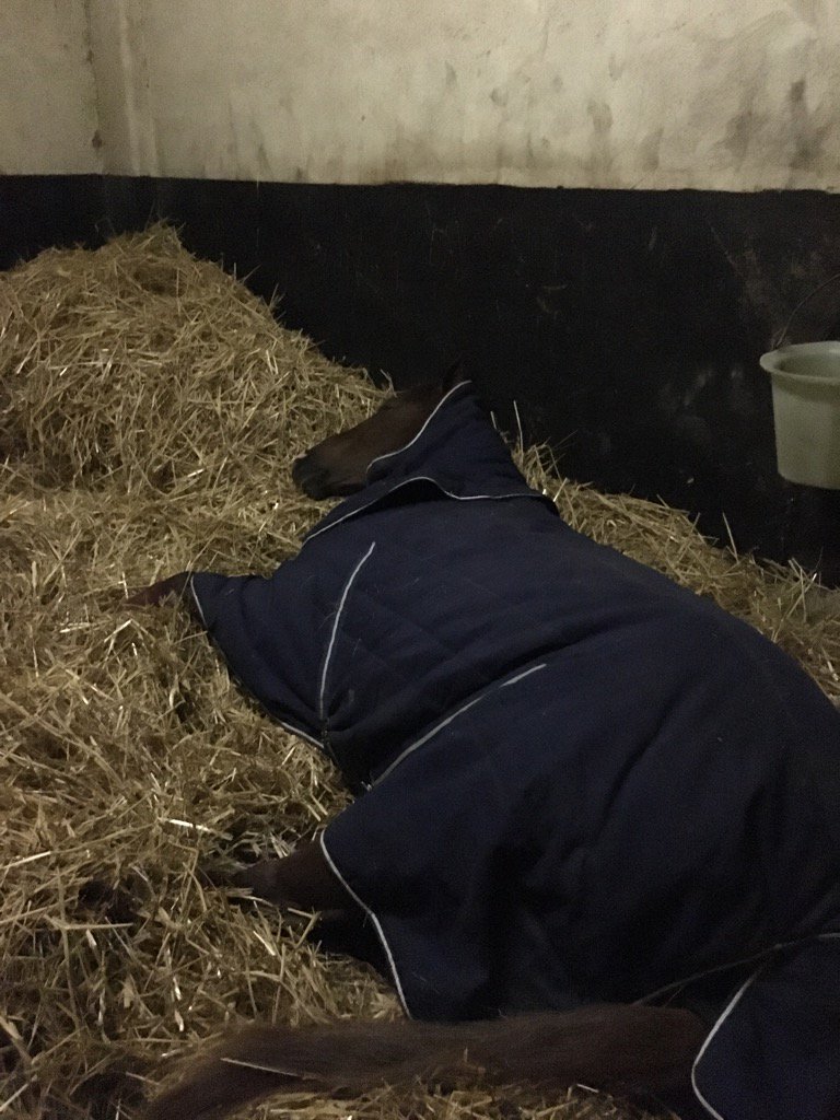 Lionel relax No Stress for amerique