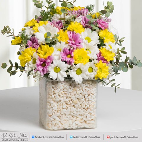 Bugün papatyalar gibi huzur sevgi mutluluk dolu bir gün olsun..
#papatya #sevgi #enerji #huzur #mutluluk  #çicek