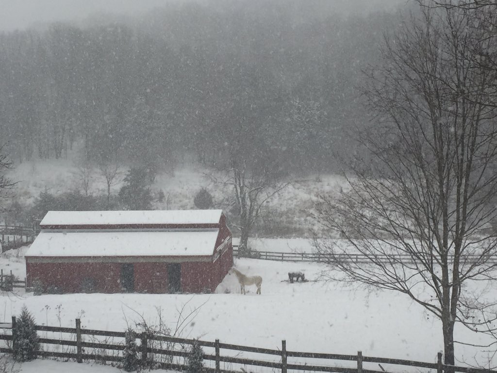 steven_cass's tweet photo. @dtblacksburg East end of Bishop Road https://t.co/NiQJBuF6Qi