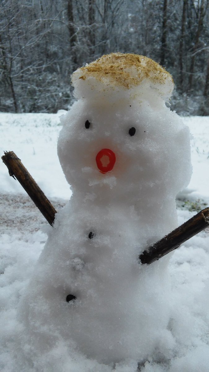 #SnowTrump says the snow is gonna be HUUUGE today in #Nashville. #wxgirl #wxnerd #snowday #trump