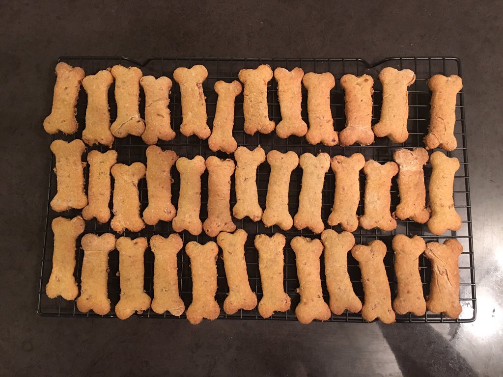 kar_lalad's tweet photo. Having a wild Sat night... baking biscuits... for my dog 🐶 #crazybaker #dogwoman #thermomixaus https://t.co/PwCHNTIb3X