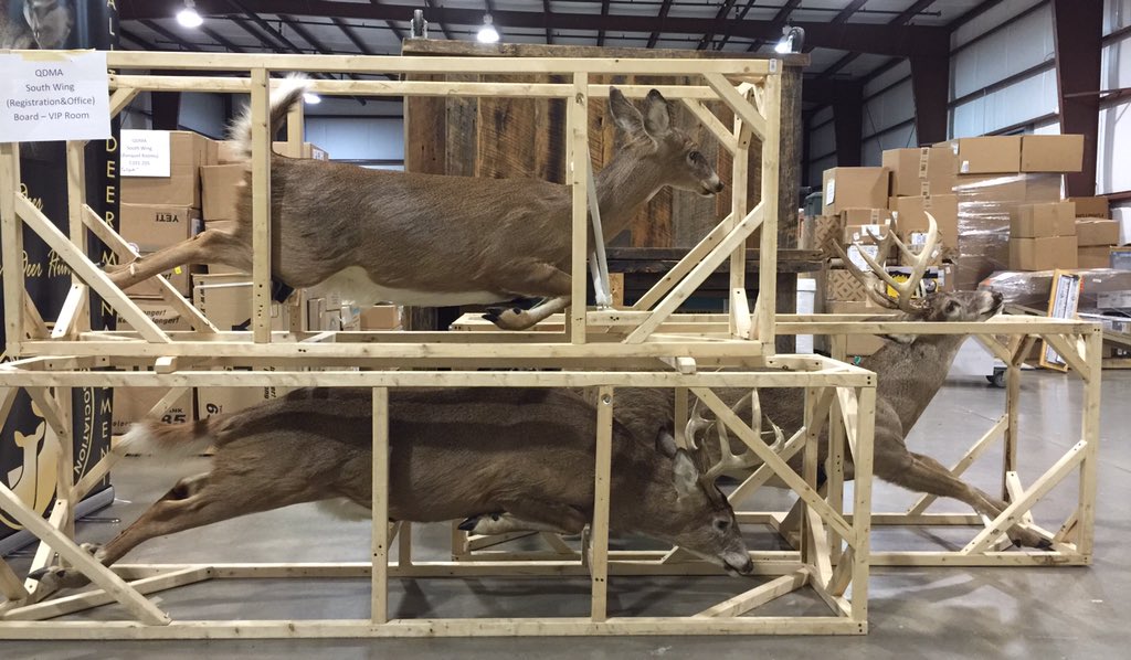 LindsayThomasJr's tweet photo. Boxed up and ready to hit the road to Kentucky and @TheQDMA Nat'l Convention next week. #buckinabox #QDMANC16 https://t.co/G9mbSk229B