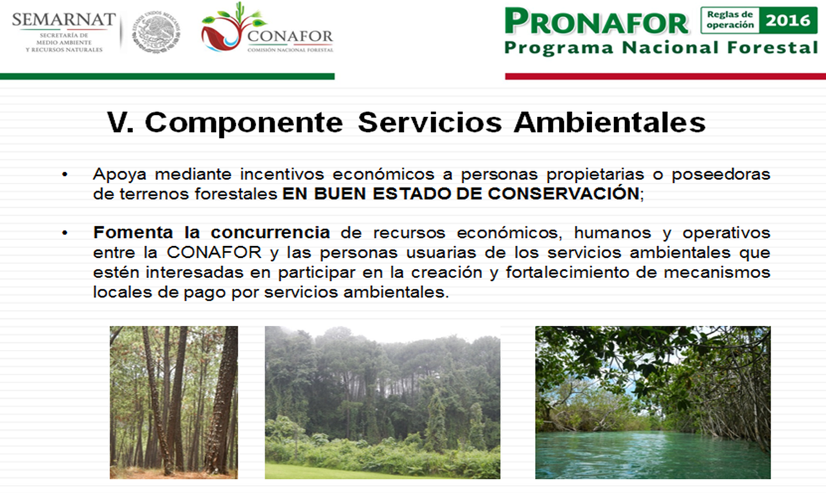 CONAFOR's tweet photo. #PRONAFOR2016 en su componente Servicios Ambientales incentiva a personas con terrenos en buen estado d conservación https://t.co/23haTTU3sV