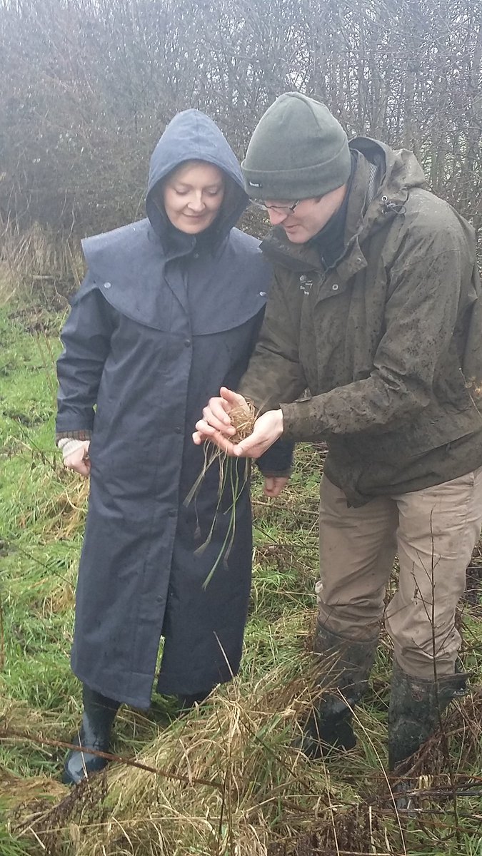 trussliz's tweet photo. Seeing harvest mouse nest at Selborne where numbers have gone up thanks to great work of farmers, GWCT and NE. https://t.co/gQ3SgvM036