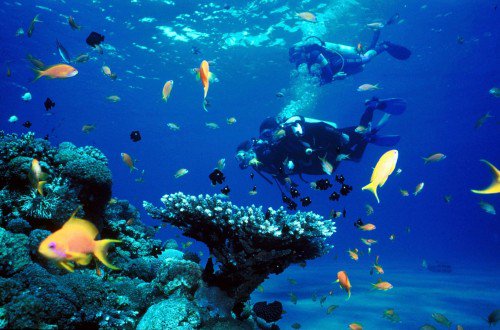 20 Of The Strangest Things Found Under The Sea twitika.com/posts/62648?li…