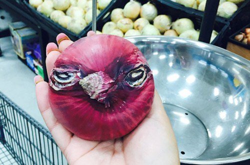 20 Funny Pictures Of Fruits And Vegetables twitika.com/posts/62398?li…