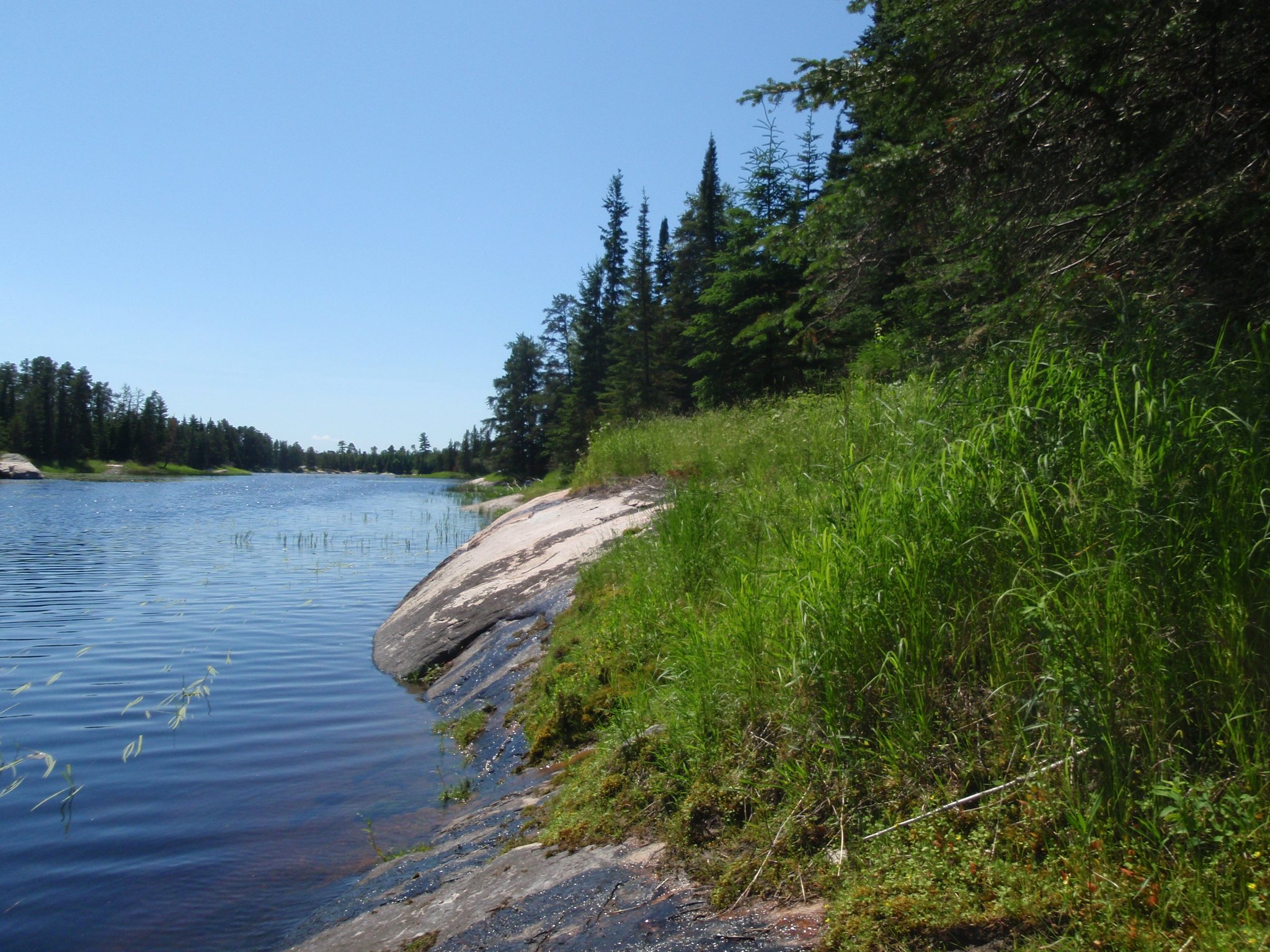 Cabin Country Realty On Twitter New Listing Build Your Dream