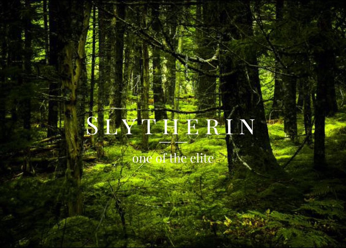 Hogwartssite's tweet image. Hogwarts