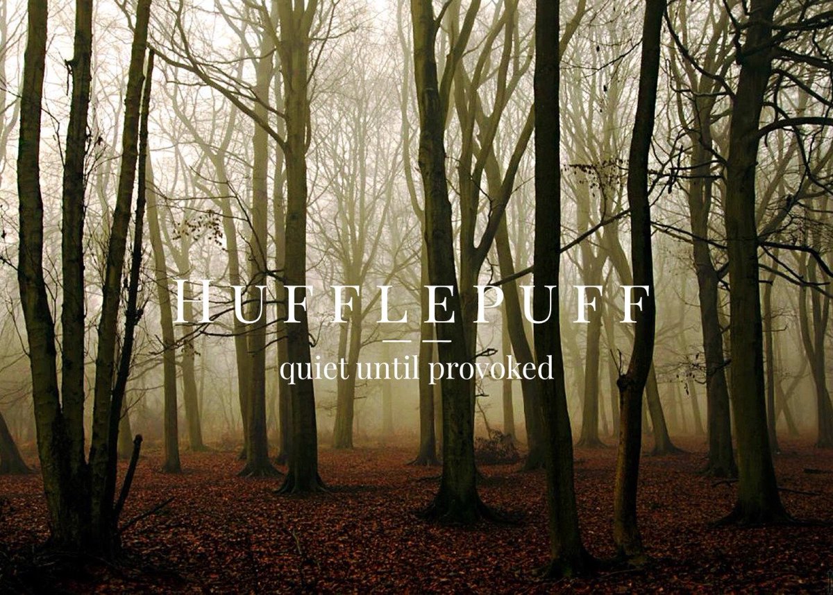 Hogwartssite's tweet image. Hogwarts