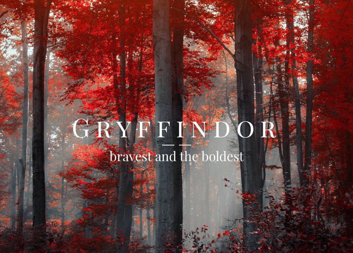 Hogwartssite's tweet image. Hogwarts