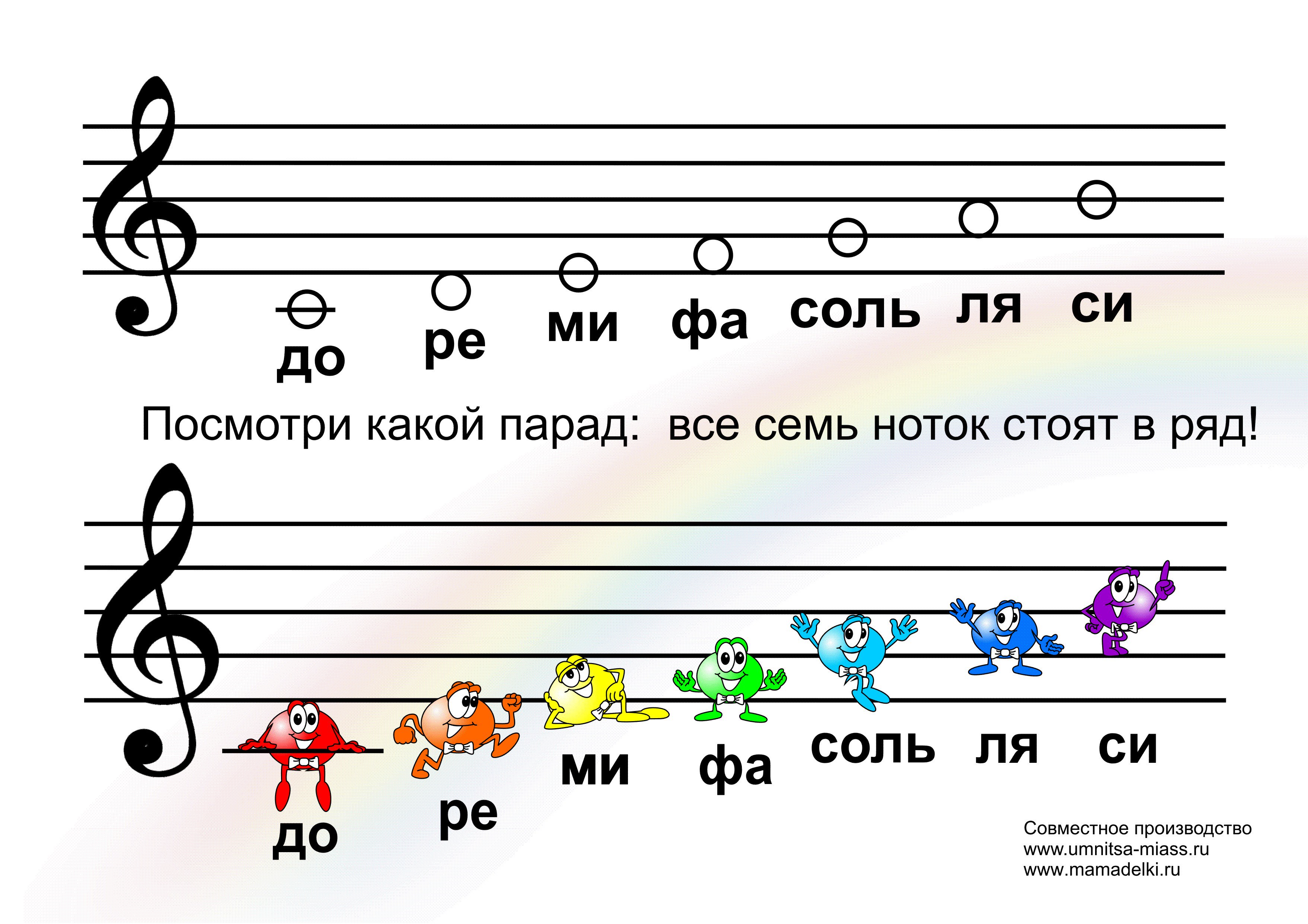 Сколько нотный стан