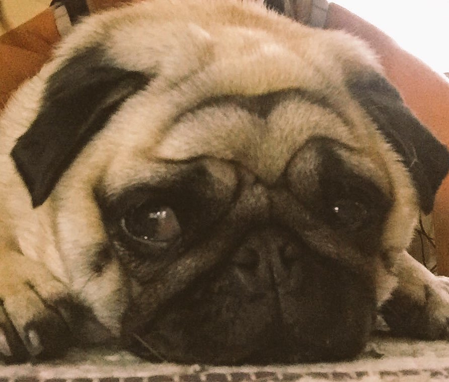 SLcounselling's tweet image. YOU get to choose your #FridayFeeling so make it a good one! 
#MoodControl