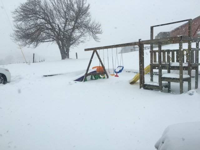 WAVE3Weather's tweet photo. 10" of snow measured by April Clark in Greensburg, KY. #WAVESnow #WAVE3Weather
LIVE BLOG: https://t.co/zFk2CSfsUu https://t.co/Tycq8GJHnu