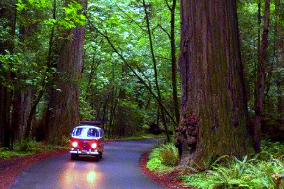 7x7's tweet photo. Peek behind the Redwood Curtain: The Ultimate Road Trip Guide to Humboldt County https://t.co/9dJTkNjBQT https://t.co/k3ANv2ukm5