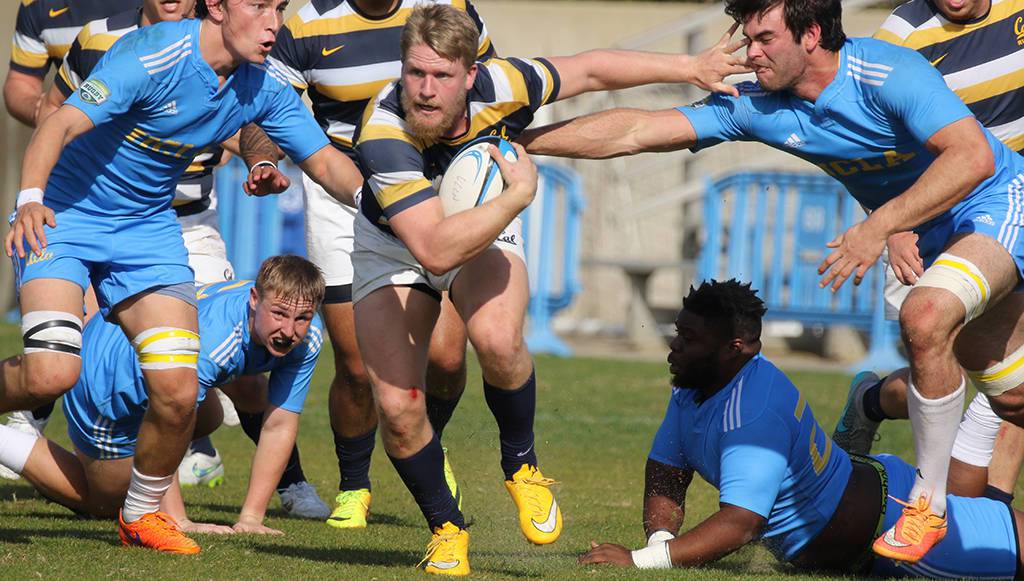 Cal Bears Beat UCLA To Win Dennis Storer Rugby Classic blog.real-timesports.com/2016/01/22/cal…