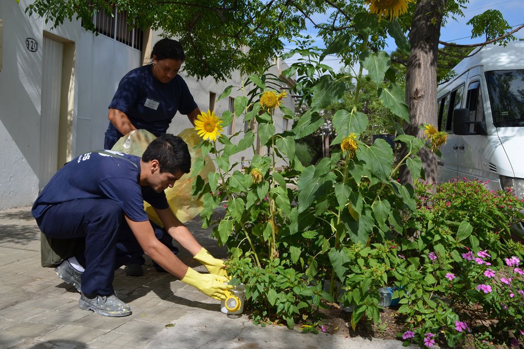 Twenty countries in the Americas reporting cases of #ZikaVirus – <a href="/WHO/">World Health Organization (WHO)</a> bit.ly/1nEvJae