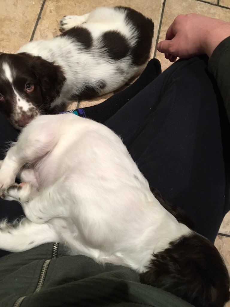 watchmysuff's tweet image. Please watch my video by clicking the YouTube link! m.youtube.com/watch?v=D-XpzU…