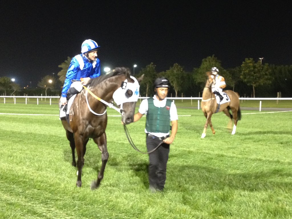 LSDunning90's tweet photo. Spotted! @widdenstud bred runner at Meydan last night - Banaadeer. #morethanready #aussiebred #noticethatbrand https://t.co/VKJHu53rjd