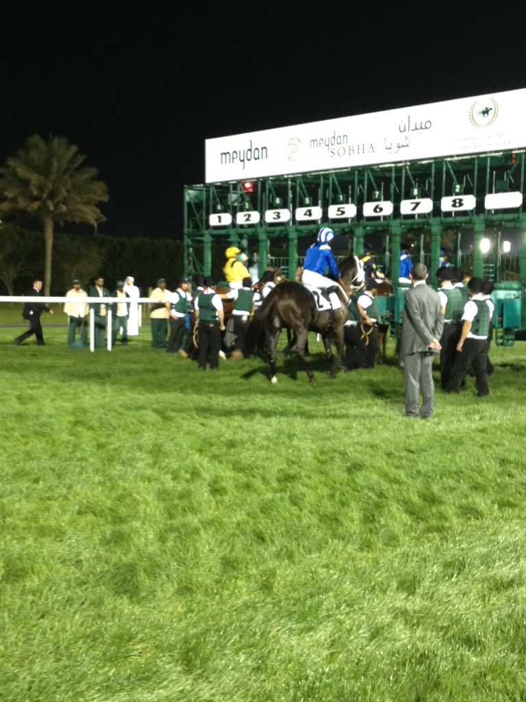 LSDunning90's tweet photo. Spotted! @widdenstud bred runner at Meydan last night - Banaadeer. #morethanready #aussiebred #noticethatbrand https://t.co/VKJHu53rjd