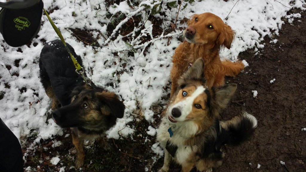 Almost another year on....