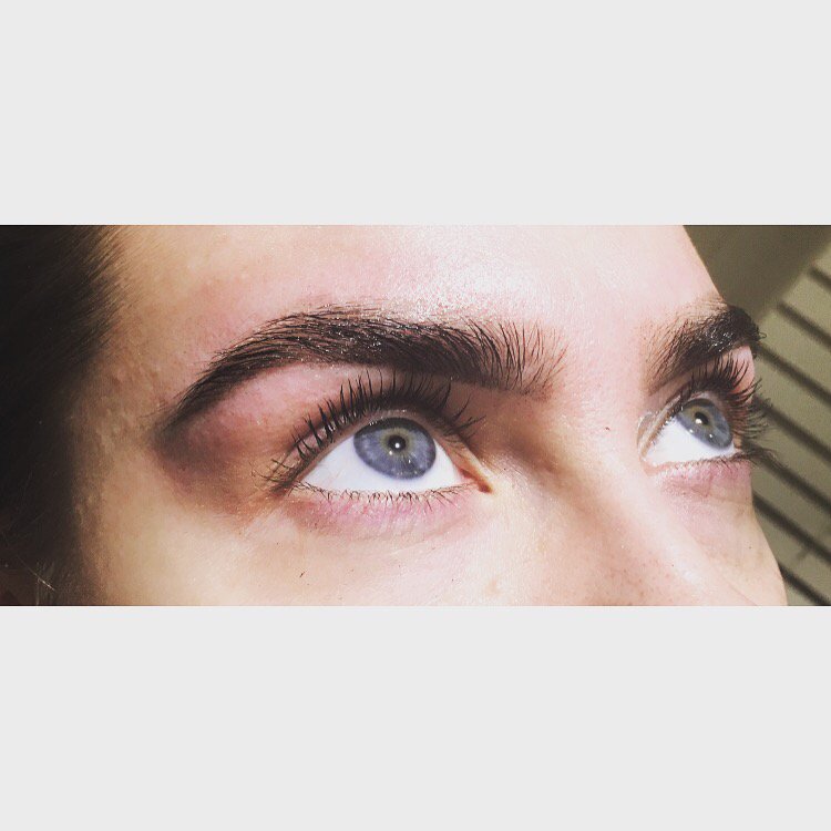 thebrowtech's tweet photo. 😻 #PowerBrows https://t.co/VzvdvBMLTe