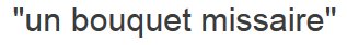 LOGEUR DU DAESH tweet media