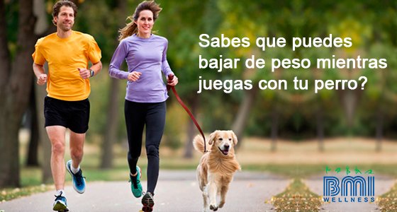 BMIWELLNESS.COM tweet media