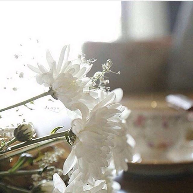 pati22332014's tweet photo. أعشق كل شيء قديم يحمل في طياته الطِيب
والبساطة والأناقة والكثير من المعاني الجميلة. ..✍ https://t.co/OSVdvmA0y5