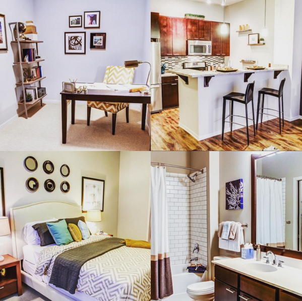 AptHomeLiving's tweet photo. #apartmentoftheweek @PAXONapts in the North Loop area in Minneapolis. https://t.co/3qFivCVKCx https://t.co/1Om0Rejz1x