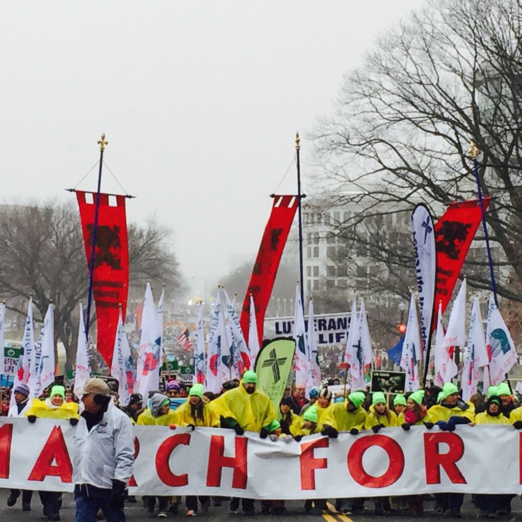 MZHemingway's tweet photo. #whywemarch #marchforlife at bottom of Cap Hill https://t.co/1VE2aFVpGo