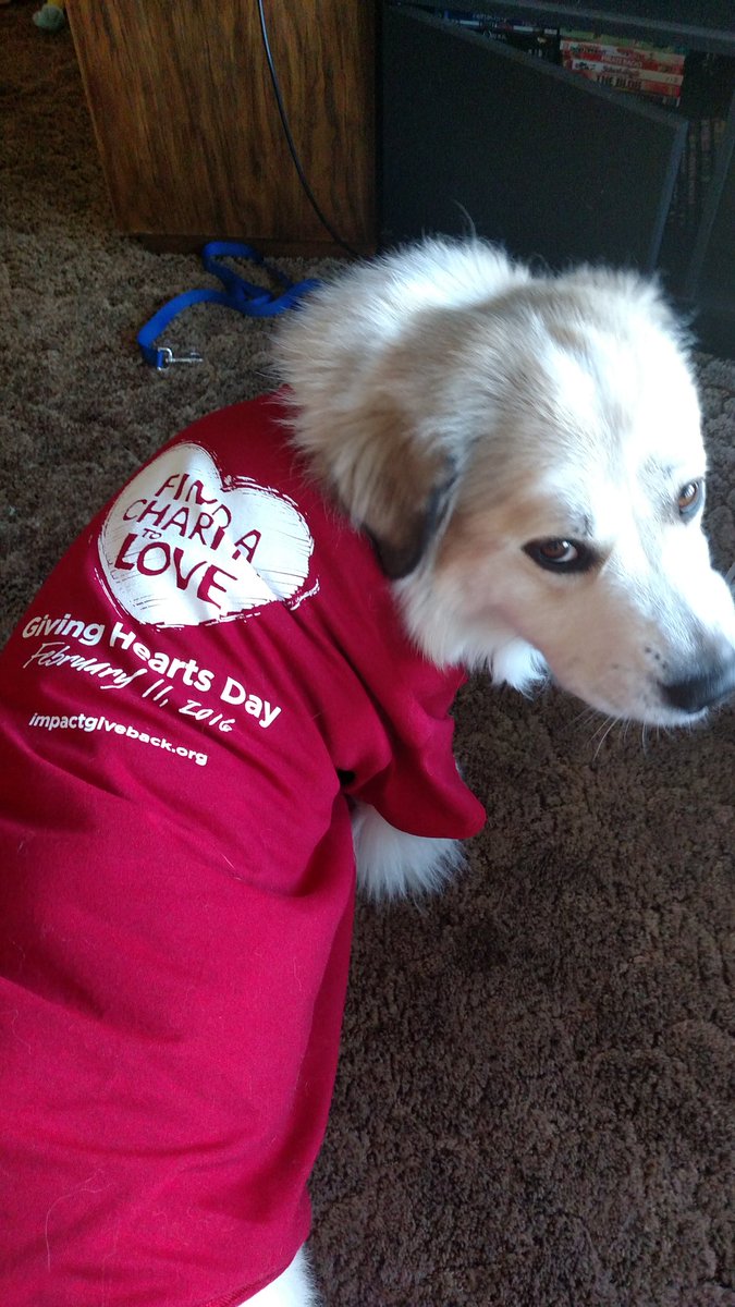 Why is @DITRPetRescueND important to me? Never would have met this guy without 'em #pawsitiveimpact #GivingHearts16