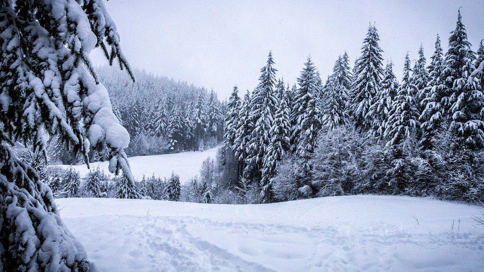 midwestcarectr's tweet photo. For those grieving this winter, from JourneyCare grief therapist Dan Sterdt: https://t.co/A0d46ApMM9  #grief https://t.co/ycbE8M2Ova
