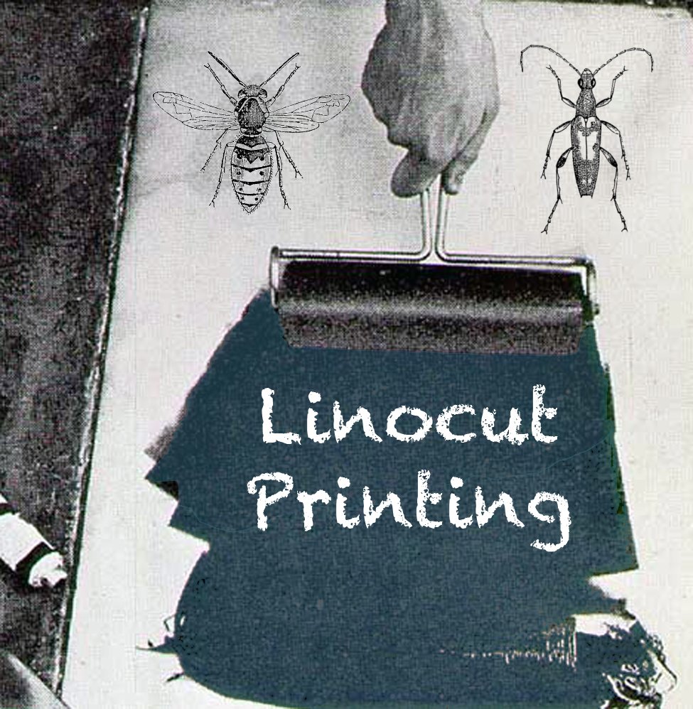 Linocut printing- class with me,<a href="/GeraldMooreGall/">Gerald Moore Gallery</a> Monday 25th Jan 7.30-9.30pm London,SE9 4RW. v1.bookwhen.com/geraldmooregal…