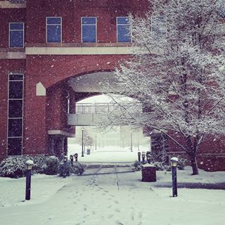 MTSU's tweet photo. Fun student photos from campus #snowday #blizzard2016 #MTSU #IamTrueBlue #truesnow https://t.co/yH09yULXL8