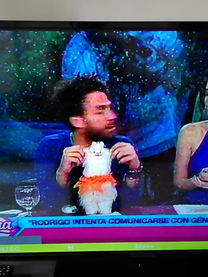 estef3030's tweet photo. @rodgonzalezl rodri que le haces a la llamita??? 😋😋😋😋jijijiji https://t.co/cymmN5vjFt