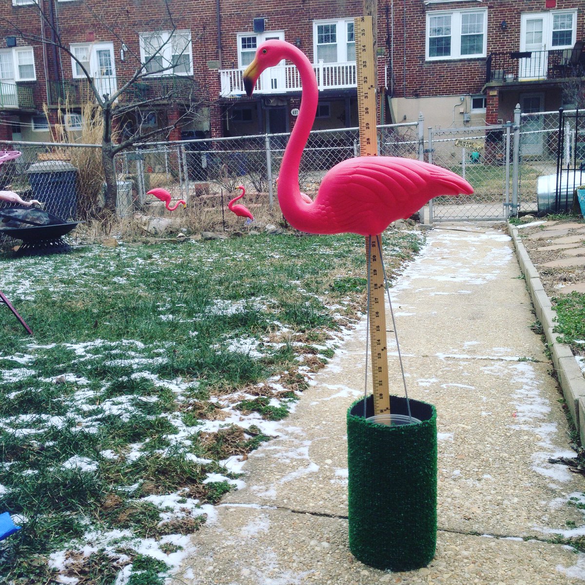 WeatherMingo's tweet photo. WeatherMingo reporting for duty. #Baltimore #Snowzilla2016 #Snowzilla #blizzard2016 https://t.co/R20DLylNVo