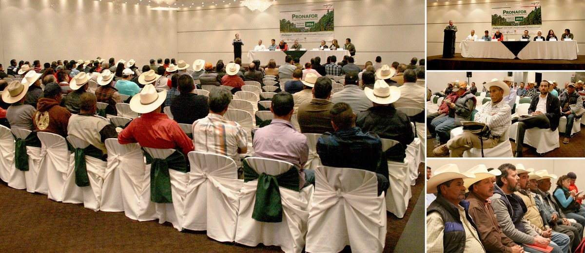 CONAFOR's tweet photo. En el estado de #Durango se han realizado 14 reuniones de difusión #PRONAFOR2016 atendiendo a más de 800 personas https://t.co/LfK8ZwThnl