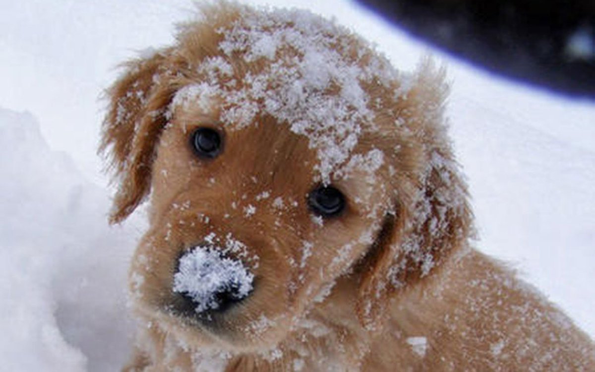 Hazlet Library will be closed tomorrow, Saturday, Jan 23, due to #blizzard2016. Stay safe (and warm)!
