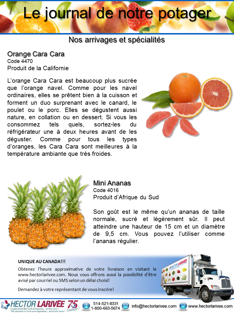 HectorHli's tweet photo. Le journal de notre potager
Semaine du 25 janvier 2016 https://t.co/fIg6h8Ejtq