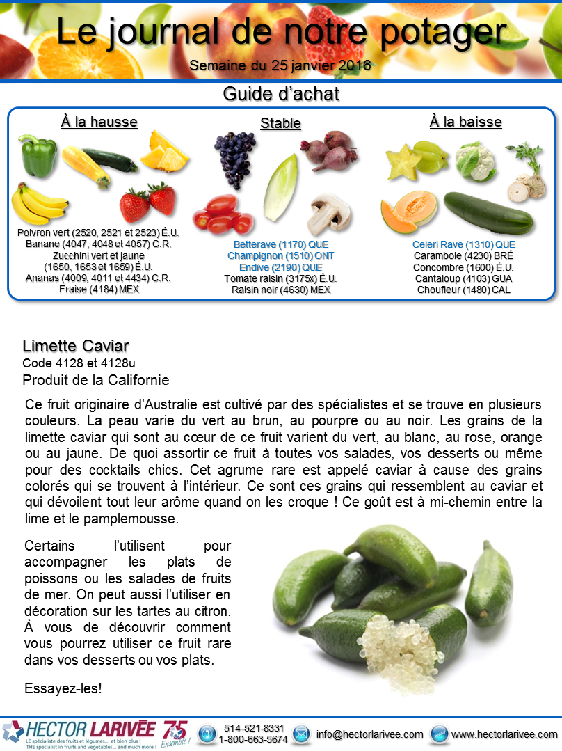 HectorHli's tweet photo. Le journal de notre potager
Semaine du 25 janvier 2016 https://t.co/fIg6h8Ejtq