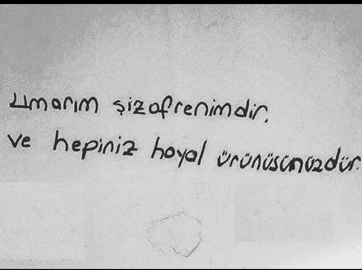 serap erok (@seraperok) on Twitter photo 