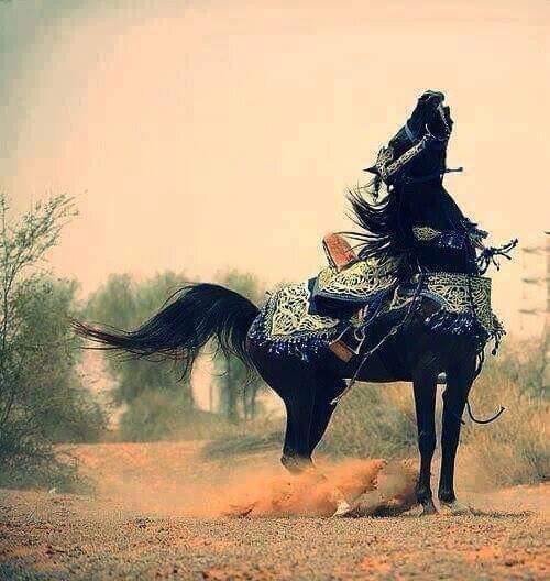 '

أيتها السماء أرفعيني إلى أعلى سابع سماء ....
لكي أرى كيف تبدوا اﻵوجاع في القلوب..♤|°..

#رأقي_الحرف ✉🎵🎩