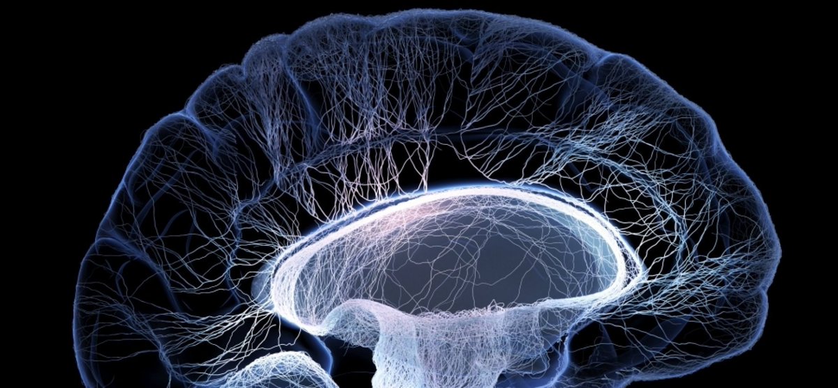 neuroleadership tweet picture
