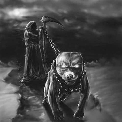 INFERNO MOTERO (@infernomotero) on Twitter photo 